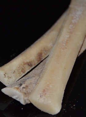 天然牦牛腿骨随型不规则骨条雕刻练手文玩手串diy原料未漂白