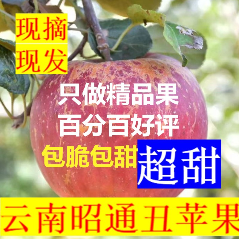 现摘现发云南冰糖心丑10斤新鲜包邮满3元可用3元优惠券