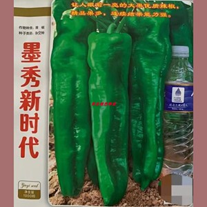 豫艺墨秀新时代微辣泡椒辣椒种子