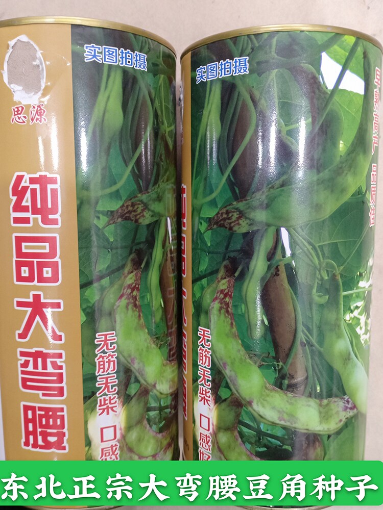 后弯腰东北油豆角种子精品提纯露地棚室春季秋季蔬菜大弯腰散装
