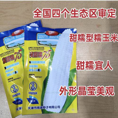 东北甜粘软糯春季玉米种子非转