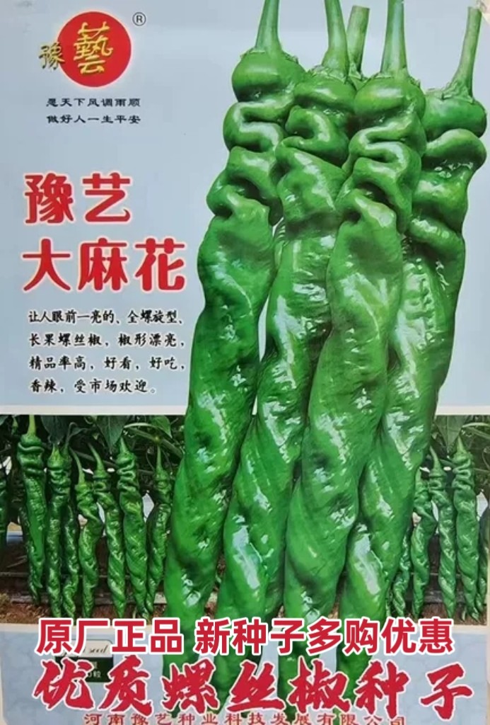 豫艺大麻花螺丝椒种籽全螺香辣皮薄春秋冬大果