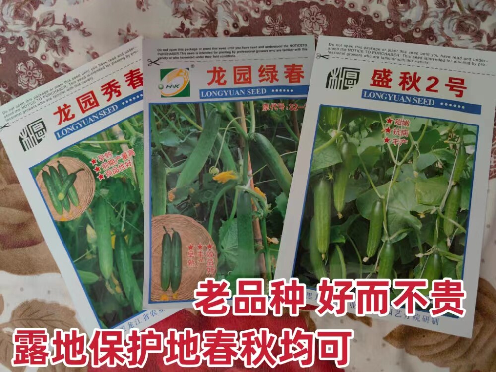 东北农家旱黄瓜种子盛秋2号绿春露地菜园绿瓤春季秋季专用阳台蔬
