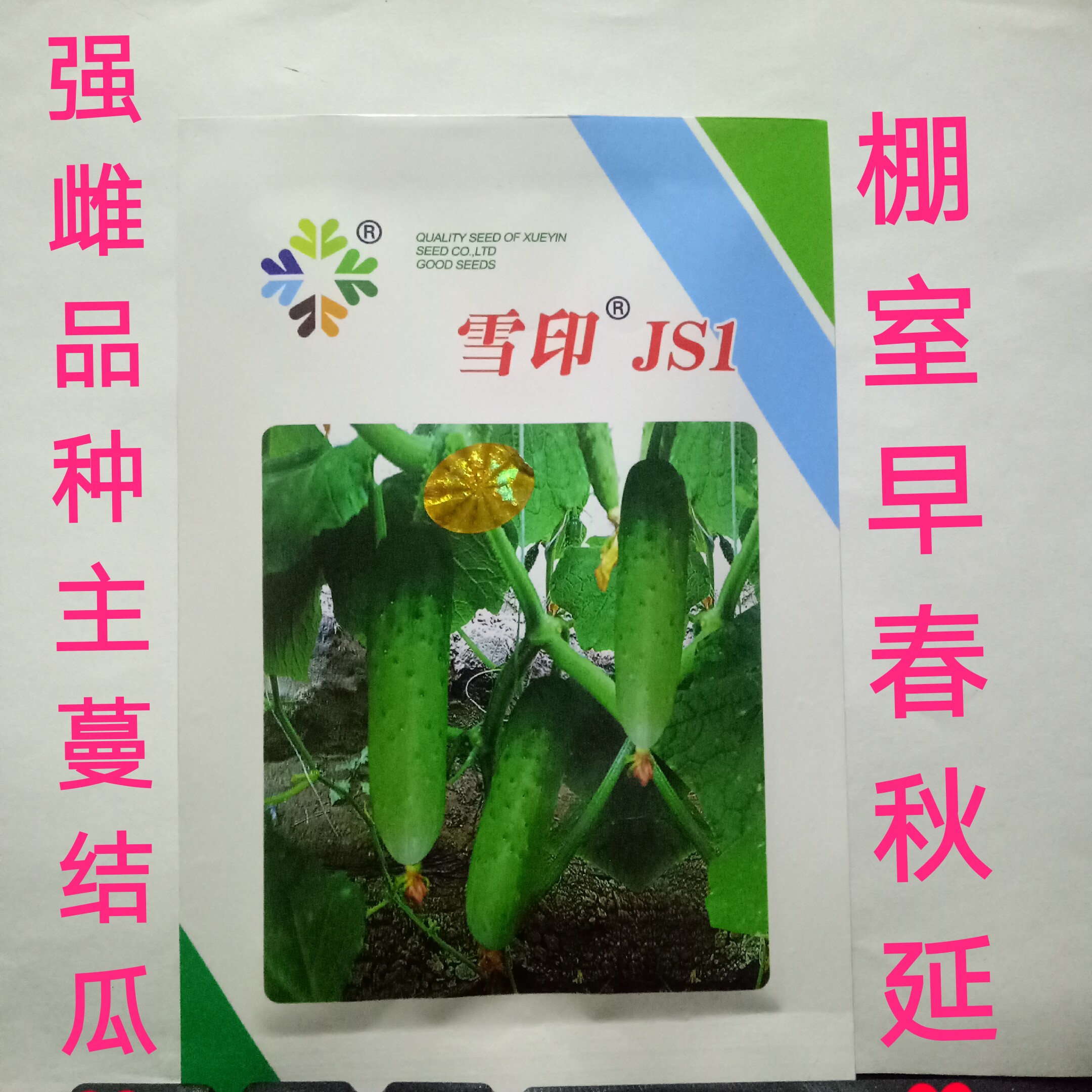 东北旱黄瓜种子雪印js1强雌绿瓤 优质大棚温室中大瘤春季秋季抗病