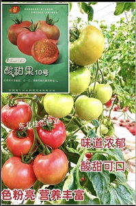 豫艺酸甜果10草莓番茄种籽酸甜
