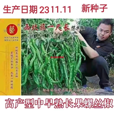 豫艺椒形好抗性好高产螺丝椒种子