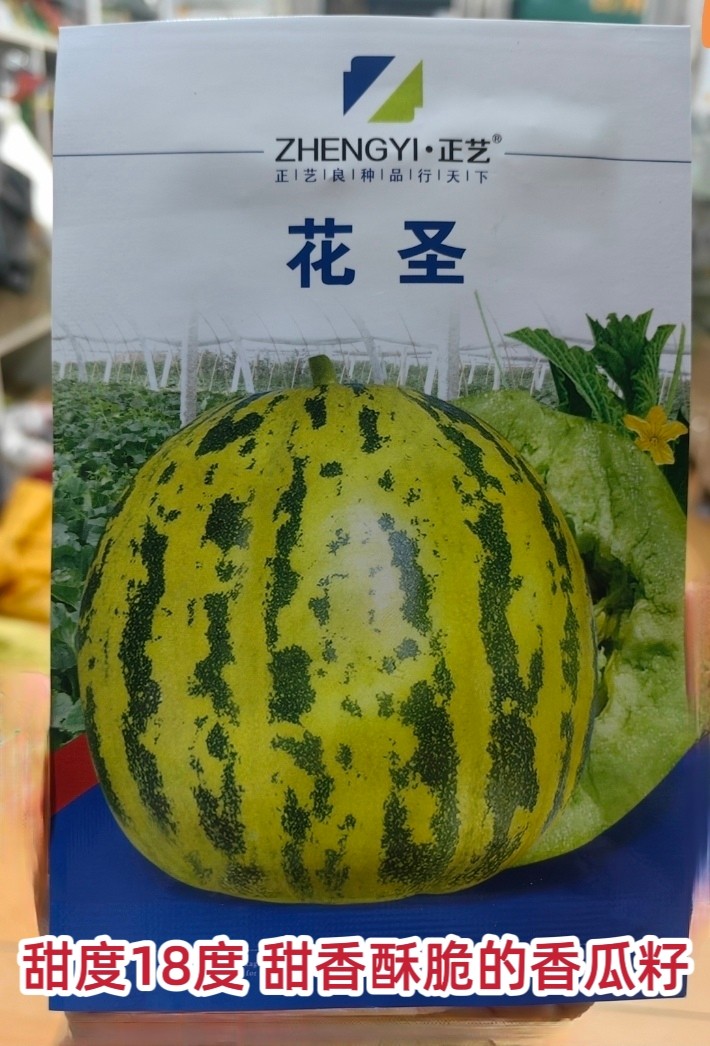 花圣甜瓜种子春秋栽培香甜酥脆