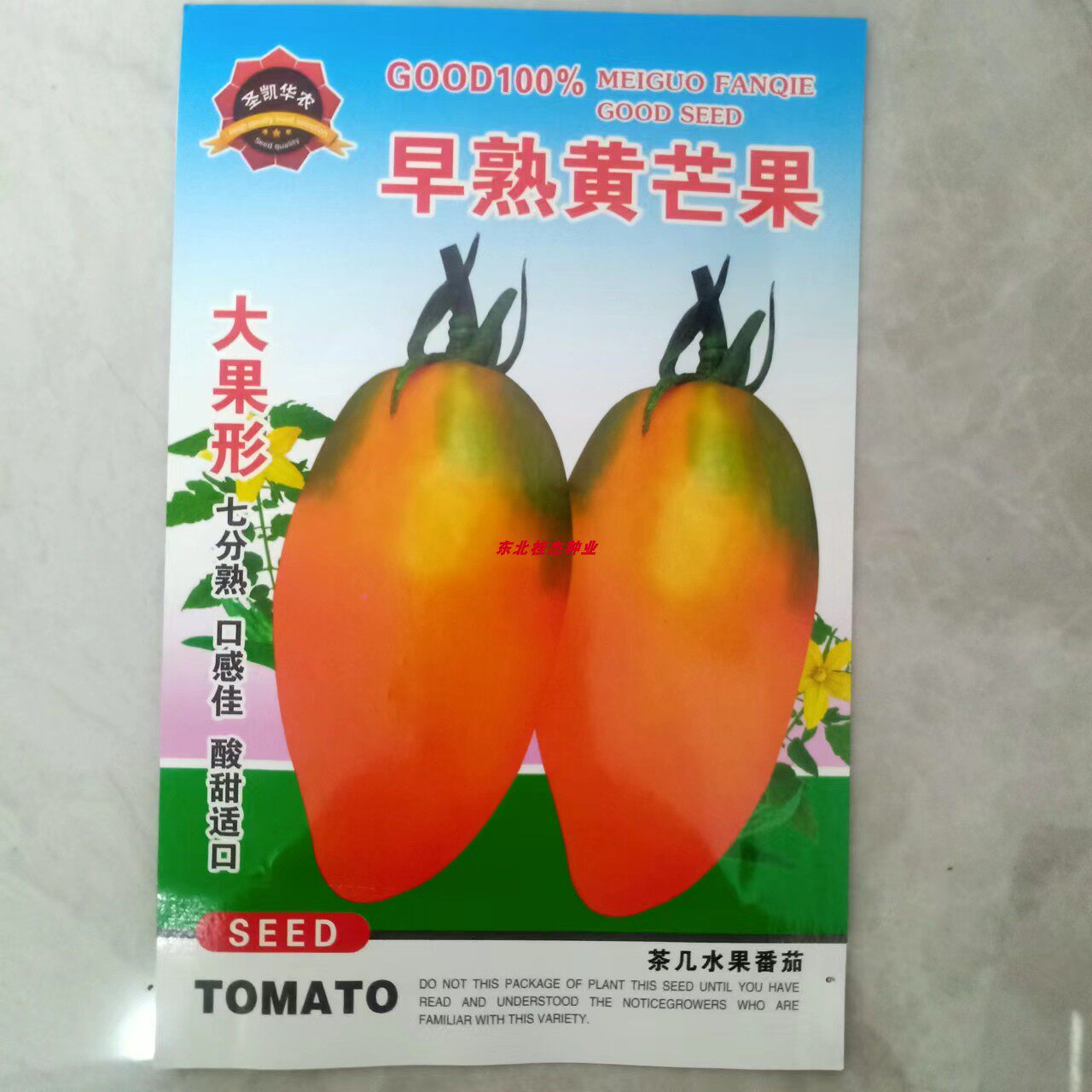 黄芒果柿子种子 水果味中熟露地酸甜适中菜园春季秋季优质优价