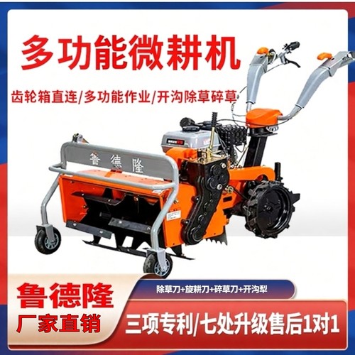 鲁德隆正品保障小型家用果园大棚