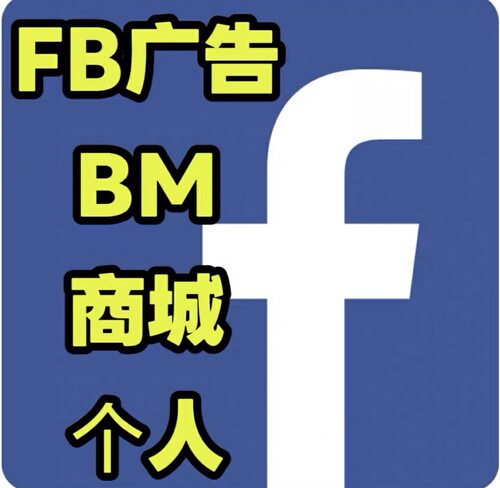 FB广告广告户开户二不限三不限企业户投流代投陪跑直播速推主页