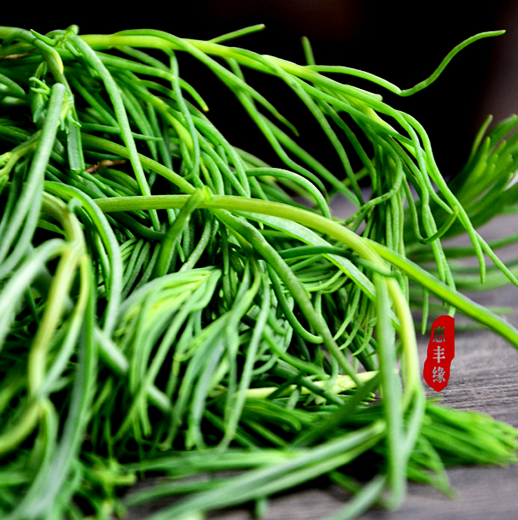 河北黄骅港黄菜4斤野生菜海菜海滩菜皇席菜黄蓿菜皇须菜净重三斤