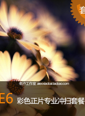 135/120/4X5 正片反转片专业冲洗扫描套餐 E6工艺胶片胶卷冲扫