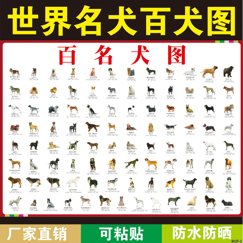 高清大幅百犬图挂图狗狗宠物店装饰海报世界名犬家用墙贴装饰画