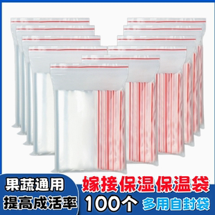 植物嫁接专用套袋自封袋保温保湿防春寒植物嫁接防雨水果树嫁接袋