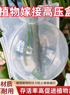 植物园艺嫁接生根高压盒