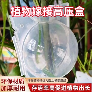 植物高压生根繁殖盒控根器扦插嫁接高压包生根盒园艺用嫁接生根盒