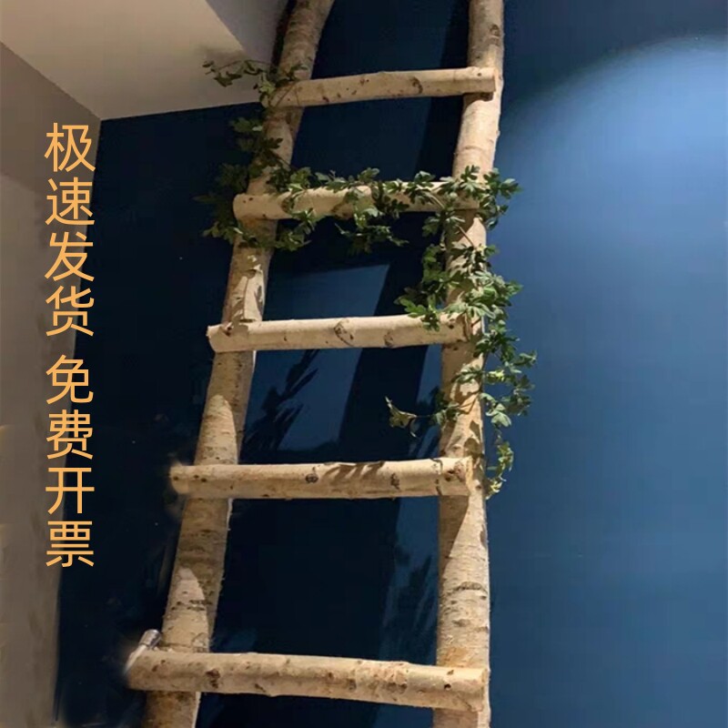 北欧白桦木树干艺术装饰白桦树装饰梯子原木梯子摆件卧室影楼拍摄