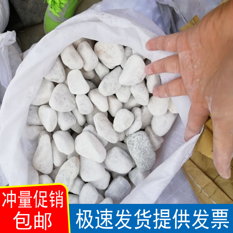 鹅卵石雨花石原石天然小石子鱼缸花盆鹅软石装饰盆栽园艺五彩石头
