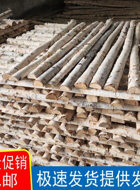 韬艺白桦树劈开定制软装贴墙木片