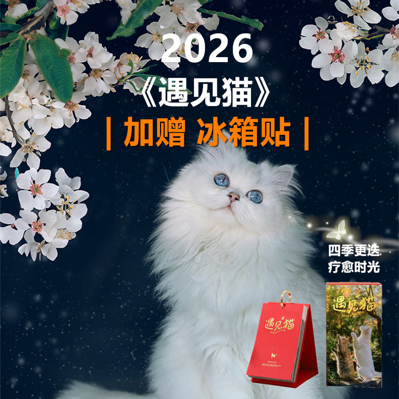 加赠冰箱贴2026年遇见猫日历桌面摆件台历文艺摆台猫咪治愈力摆件,文具电教/文化用品/商务用品,台历,淘宝优惠券,粉丝福利购,淘宝优惠卷