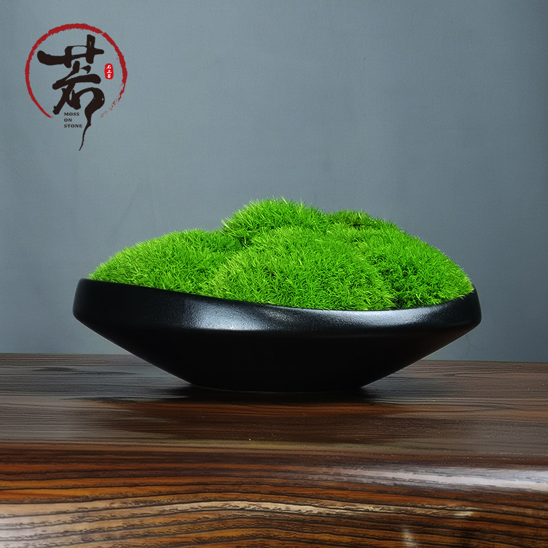 侘寂风吧台玄关酒店桌花艺日式茶桌样板房民宿永生苔藓盆景饰品