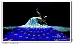 《雀之灵》少数民族傣族孔雀舞表演服杨丽萍舞蹈同款大摆裙演出服