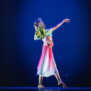 《雨嬉莲叶涧》女子古典舞群舞同款舞蹈演出表演服专业定制