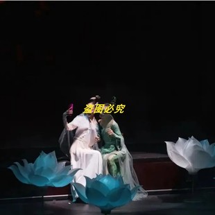 芭蕾舞剧舞蹈服专业定制国风古典群舞舞台演出表演服装 白蛇传