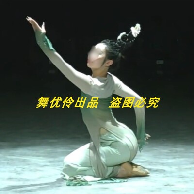 国风独舞专业定制凛兰同款表演服