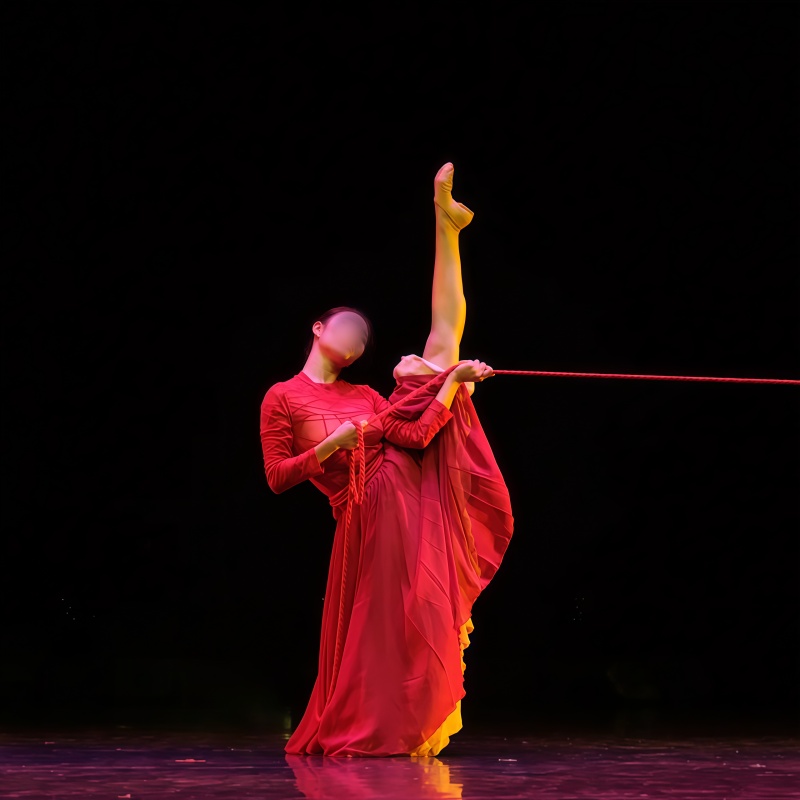 《红》同款舞蹈服专业定制