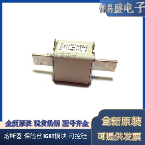 美国伊顿EATON  Bussmann熔断器170M5810D