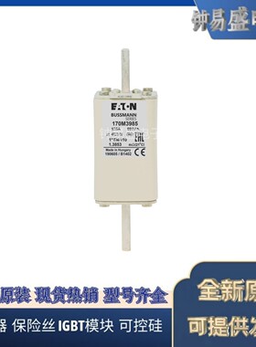 Bussmann熔断器170M3927 170M3928 170M3929 170M3930 170M3931