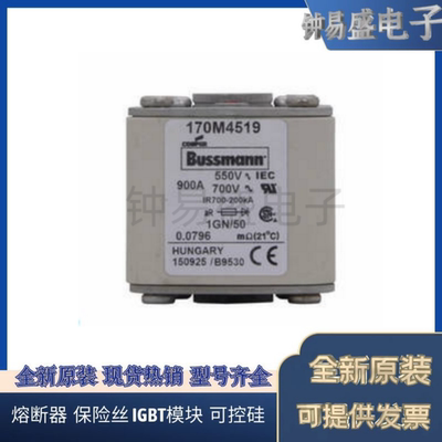 Bussmann熔断器170M4531 170M4532 170M4533 170M4534 170M4535