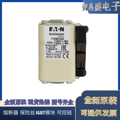 BUSSMANN熔断器170M3392 1250V 125A现货热销