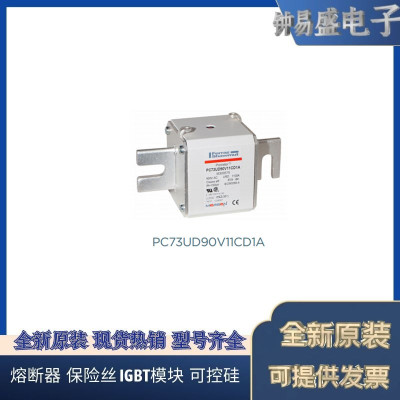 罗兰熔断器PC31UD69V700A G300018  PC31UD69V800A D300406