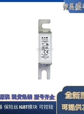 美国伊顿EATON  Bussmann熔断器170M1322  690V  315A