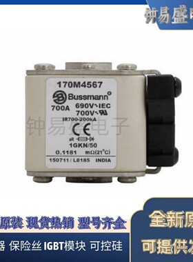Bussmann熔断器170M4536 170M4537 170M4538 170M4539 170M4540