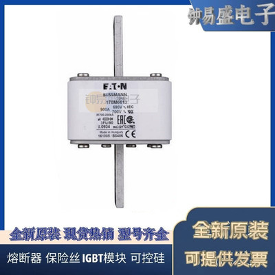 伊顿巴斯曼Bussmann熔断器170M6613  690V 900A