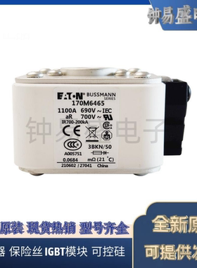 美国伊顿EATON Bussmann熔断器170M6462