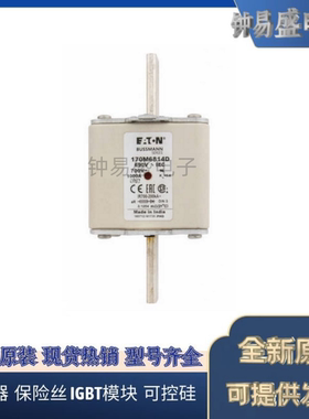 美国伊顿EATON Bussmann熔断器170M6813D
