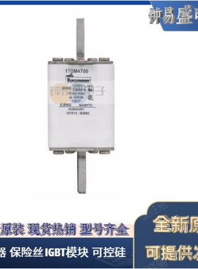 出售伊顿BUSSMANN巴斯曼原装熔断器170M4700 1250V 200A
