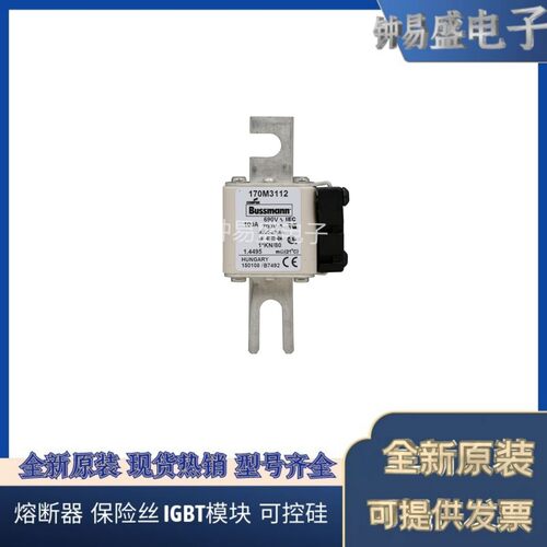 COOPER BUSSMANN熔断器170M3112 690V 100A