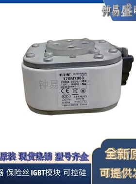 Bussmann熔断器170M7082 170M7083 170M7084 170M7085 170M7086
