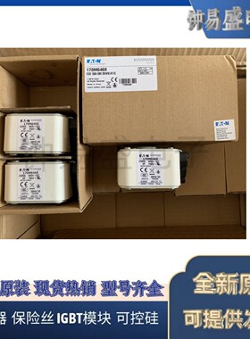 美国伊顿EATON Bussmann熔断器170M6468