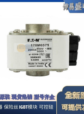 美国伊顿EATON 巴斯曼原装Bussmann熔断器170M6571 690V 2000A