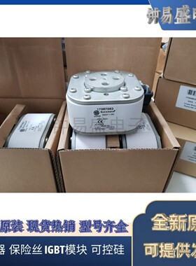 Bussmann熔断器全新原装正品现货170M7083 690V 2500A 质保一年