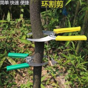环割剪环切刀开甲环枝剪高压枝条葡萄环剥剪扒树皮刀环枝剪环割刀