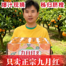 礼盒正宗宜昌九月红橙子秭归脐橙新鲜甜橙子榨汁水果冻橙柑橘桔子