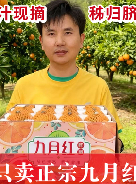 礼盒正宗宜昌九月红橙子秭归脐橙新鲜甜橙子榨汁水果冻橙柑橘桔子