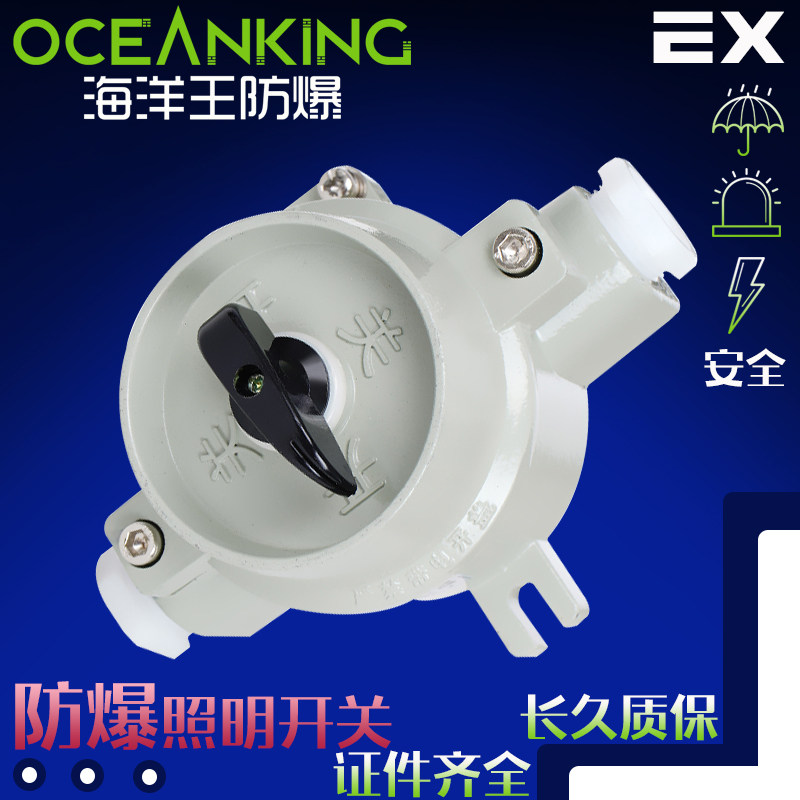 海洋王防爆sw-10照明开关